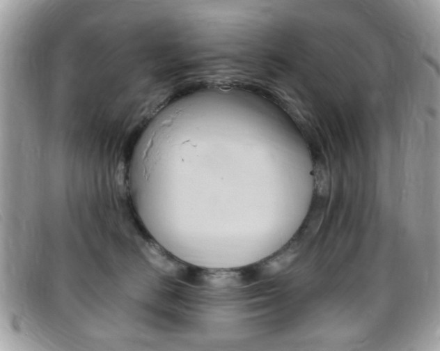 X0000095940670200801110856