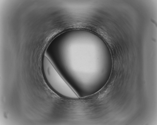 X0000095940673200801110855