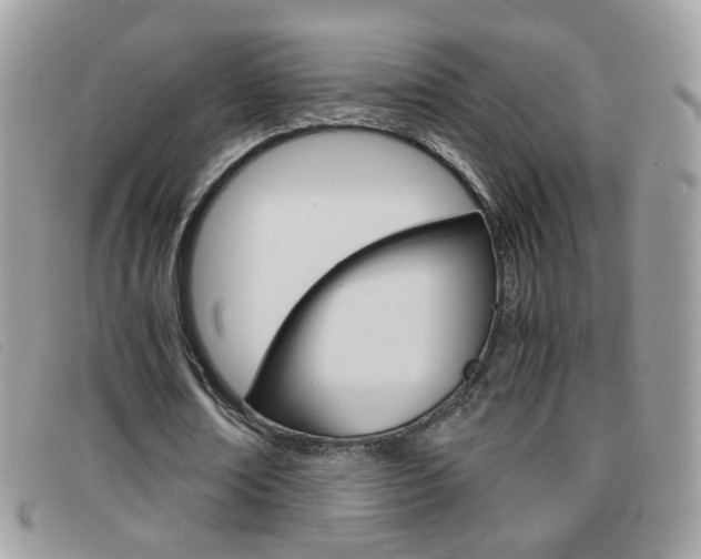 X0000095940674200801110855