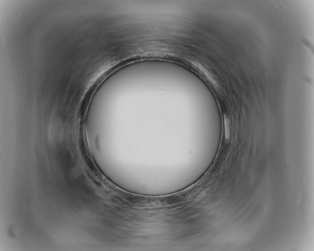 X0000095940675200801110855