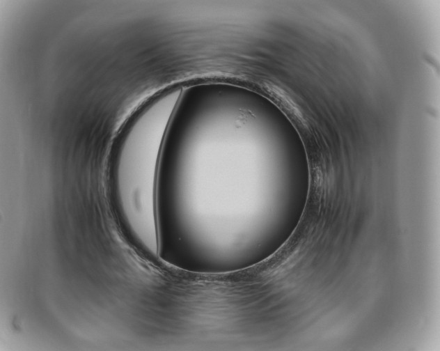 X0000095940676200801110855