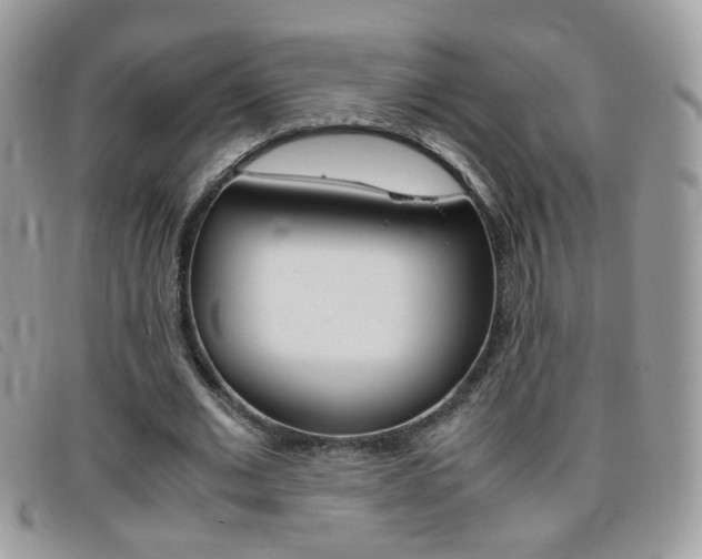 X0000095940677200801110855
