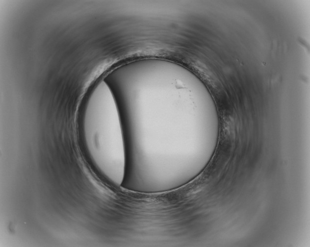 X0000095940678200801110855