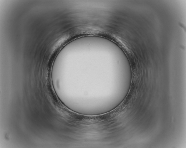 X0000095940679200801110855
