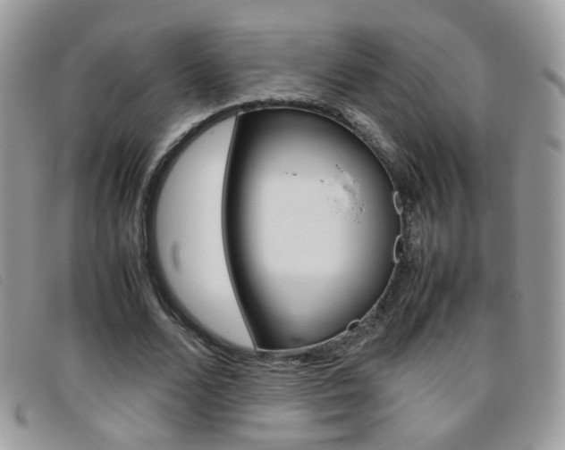 X0000095940680200801110855