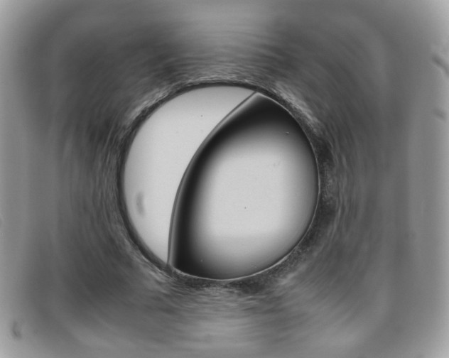 X0000095940681200801110855