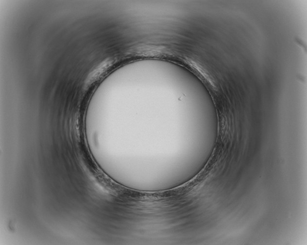 X0000095940682200801110855