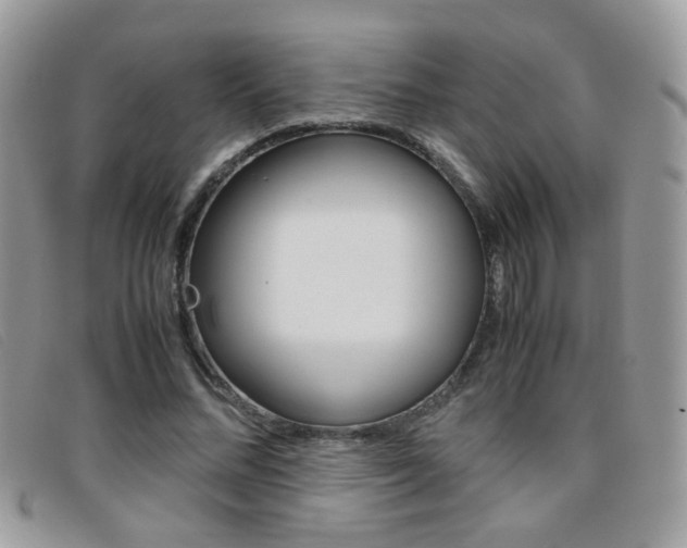 X0000095940684200801110855