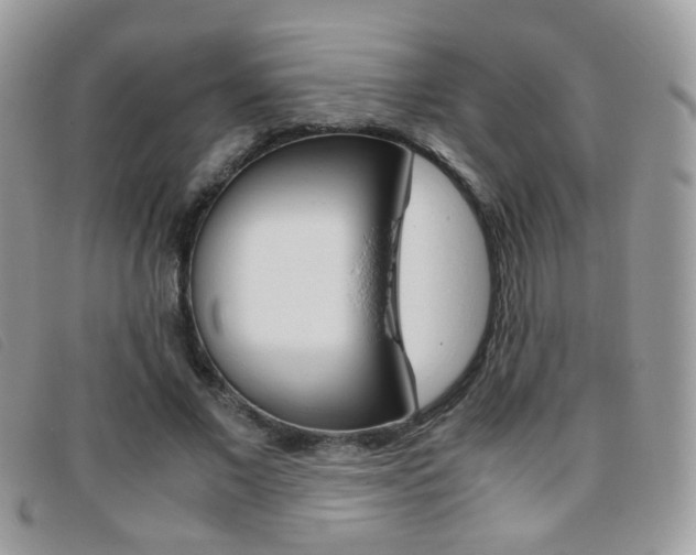 X0000095940685200801110855
