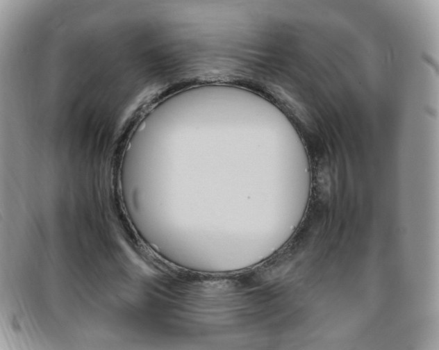 X0000095940686200801110855