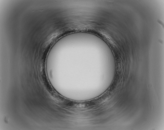 X0000095940687200801110855