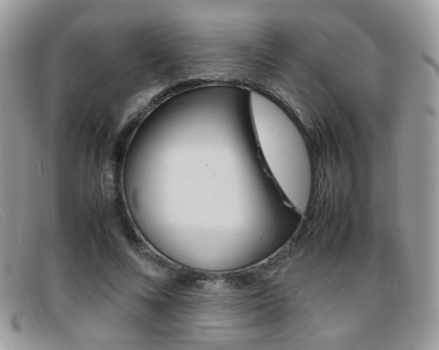 X0000095940688200801110855