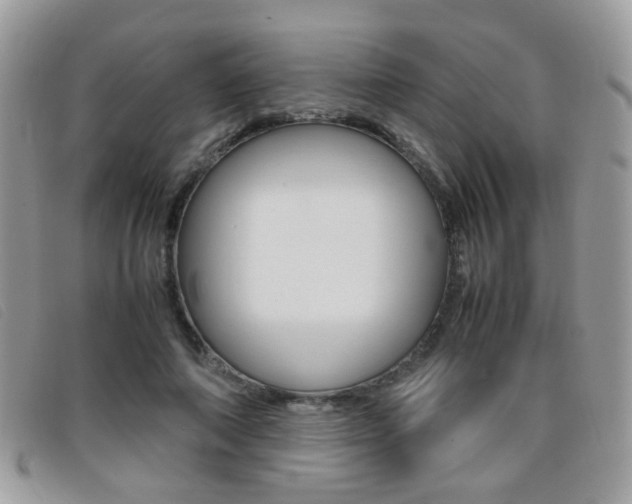 X0000095940690200801110855