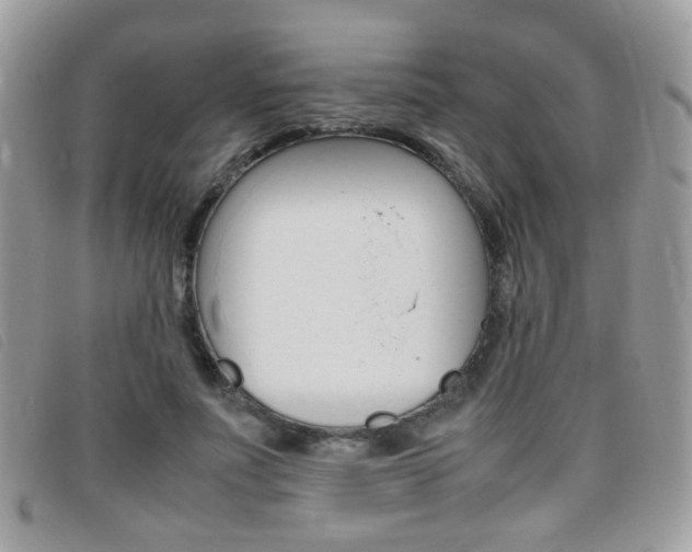 X0000095940691200801110855