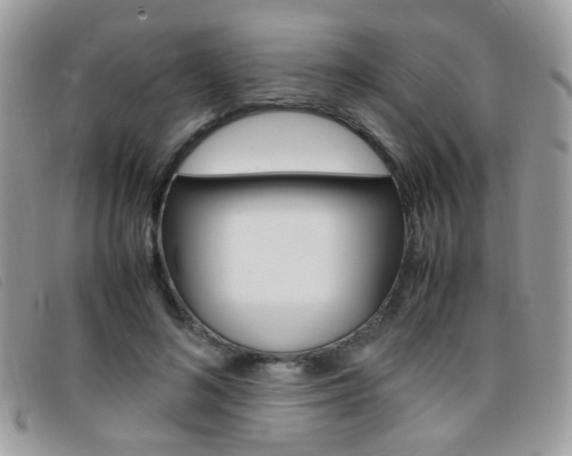 X0000095940692200801110855