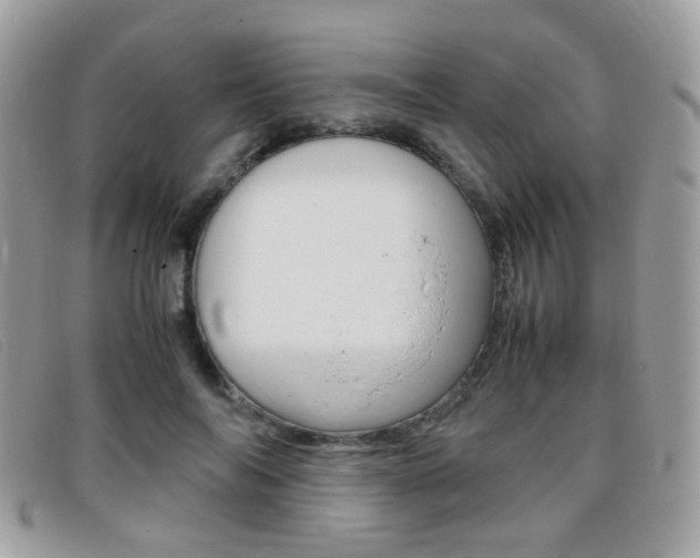 X0000095940694200801110855