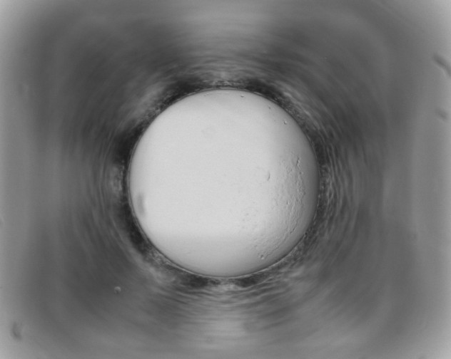 X0000095940695200801110855