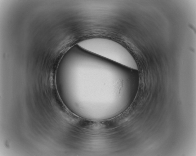 X0000095940696200801110855