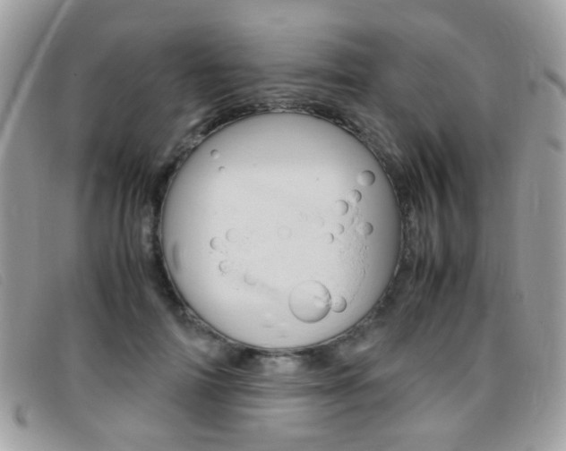 X0000095940698200801110855