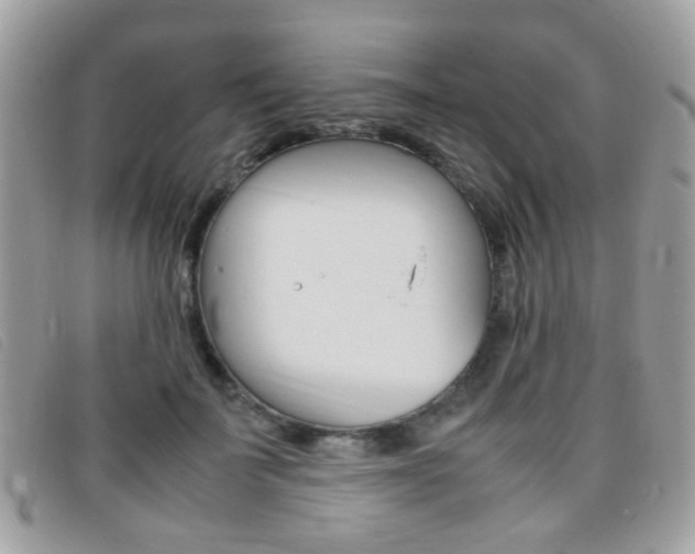 X0000095940699200801110855