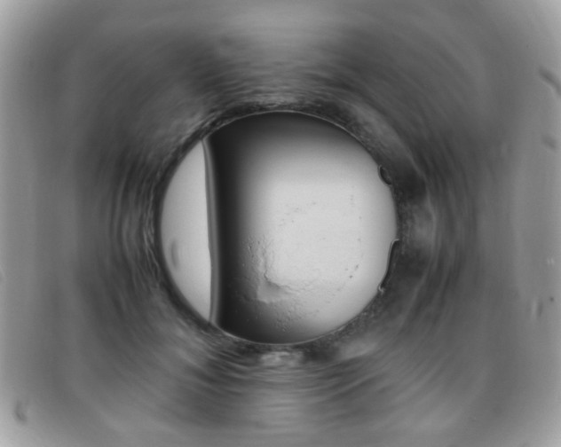 X0000095940700200801110855