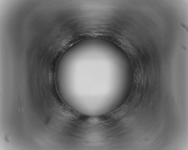 X0000095940704200801110855