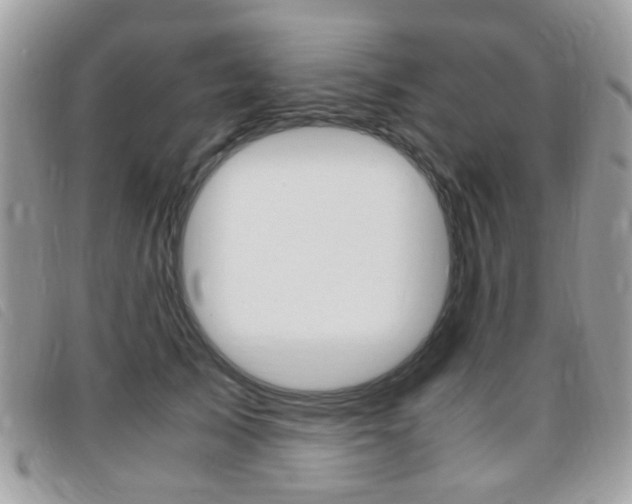 X0000095940705200801110855