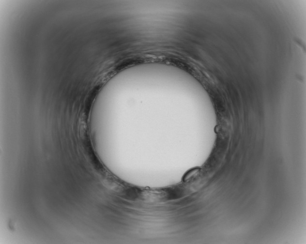 X0000095940707200801110855