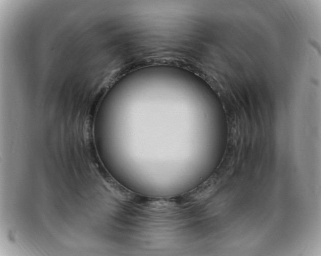 X0000095940708200801110855