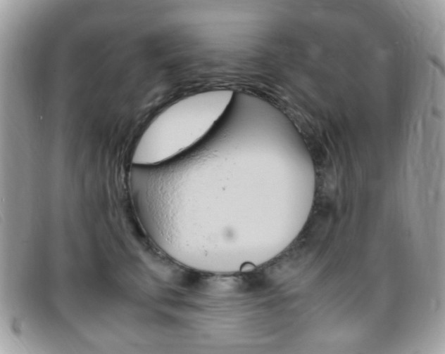 X0000095940711200801110854
