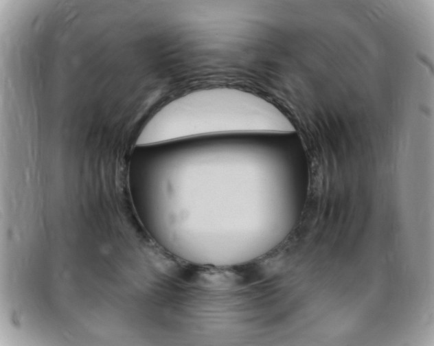 X0000095940712200801110854