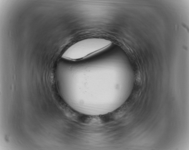 X0000095940715200801110854