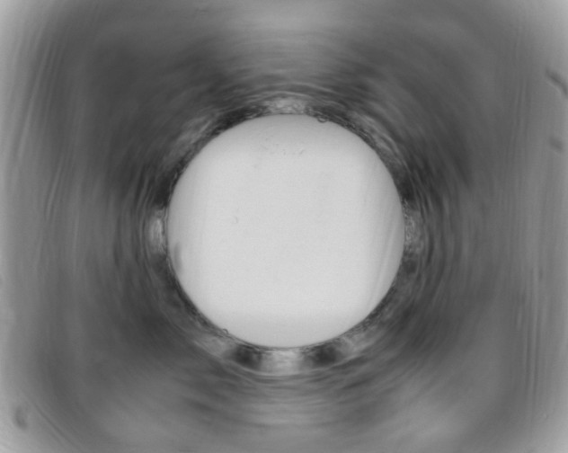 X0000095940717200801110854