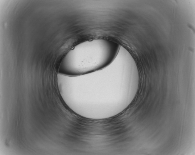 X0000095940719200801110854