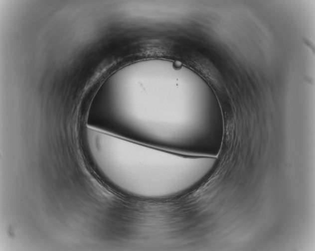 X0000095940722200801110854