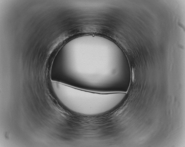 X0000095940723200801110854