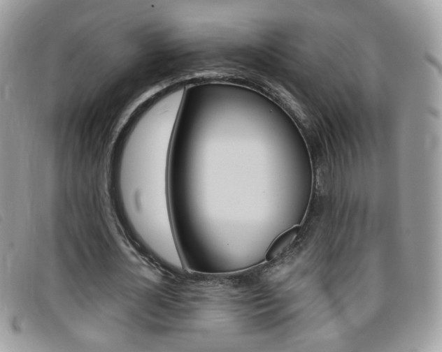 X0000095940724200801110854