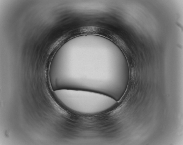 X0000095940725200801110854