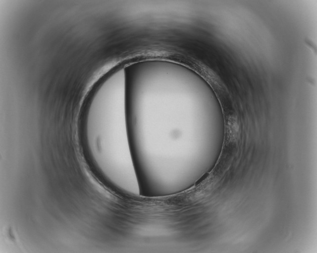 X0000095940726200801110854
