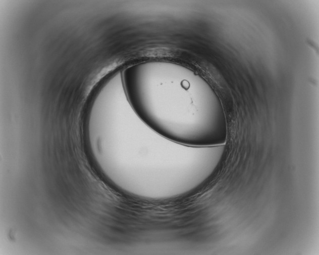 X0000095940727200801110854