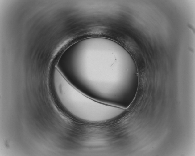 X0000095940728200801110854