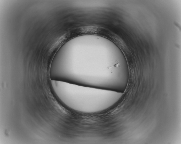 X0000095940729200801110854