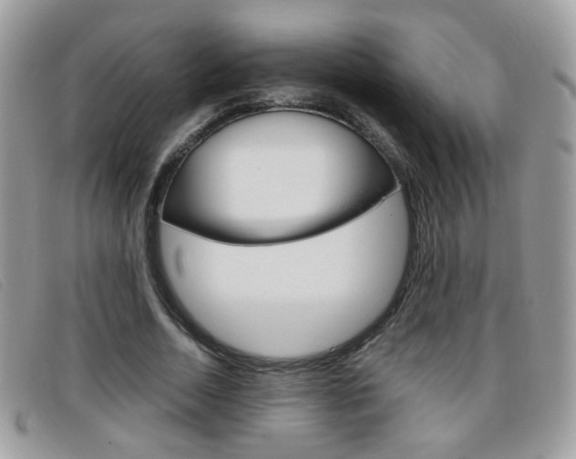 X0000095940730200801110854