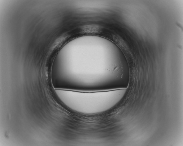 X0000095940731200801110854