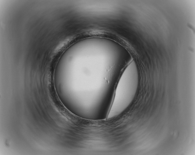 X0000095940732200801110854