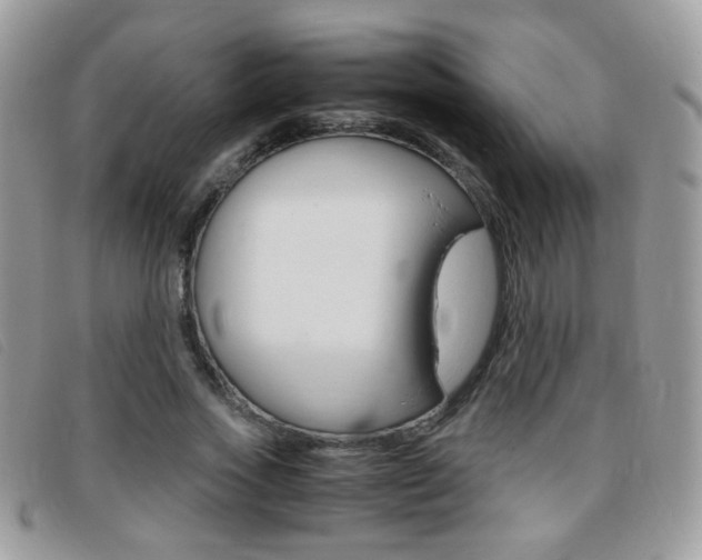 X0000095940733200801110854
