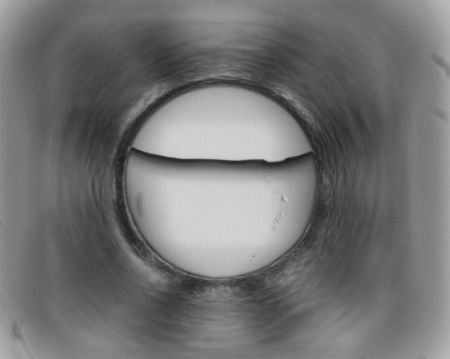 X0000095940734200801110854