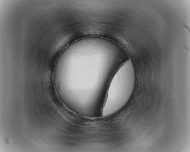 X0000095940735200801110854