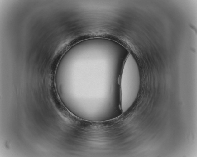 X0000095940736200801110854