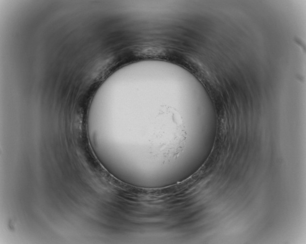X0000095940739200801110854